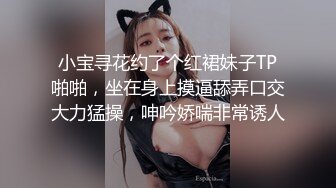 小宝寻花约了个红裙妹子TP啪啪，坐在身上摸逼舔弄口交大力猛操，呻吟娇喘非常诱人