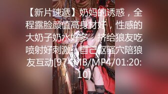 秀人超人气女神『杨晨晨』车内痴汉黑丝长腿极致魅惑 女仆装性感诱人 自摸揉胸