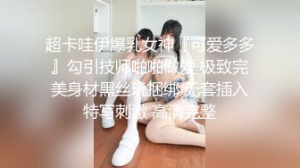 后入骚母狗！