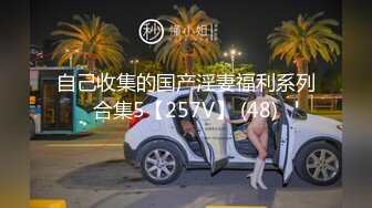 自己收集的国产淫妻福利系列合集5【257V】 (48)