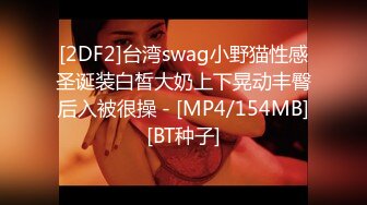 [2DF2]台湾swag小野猫性感圣诞装白皙大奶上下晃动丰臀后入被很操 - [MP4/154MB][BT种子]