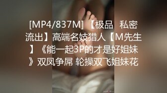 【超级无敌大美臀】深夜驾车野外车后坐操逼，肛塞情趣尾巴，特写顶级肥臀上下套弄，这屁股简直完美又大又圆