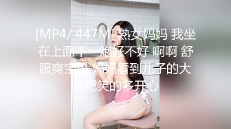 视频调教骚母狗