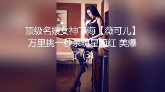 商场女厕全景后拍第四期 超多大屁股美逼嘘嘘 (3)