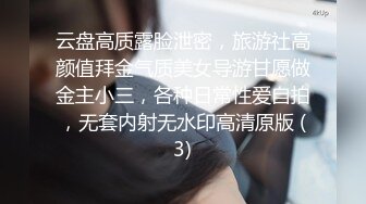 云盘高质露脸泄密，旅游社高颜值拜金气质美女导游甘愿做金主小三，各种日常性爱自拍，无套内射无水印高清原版 (3)