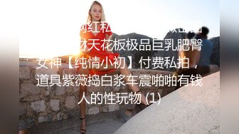 《顶流网红私拍泄密》微密圈颜值身材天花板极品巨乳肥臀女神【纯情小初】付费私拍，道具紫薇捣白浆车震啪啪有钱人的性玩物 (1)