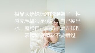 『copula』渔网后入反差M系小母狗镜子前紧盯下体羞耻埃艹，超紧小嫩逼操翻，外表有多正经床上就有多淫荡