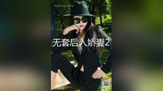 无套后入娇妻2