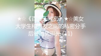 维拉舞团 艳舞女神 【琳达】SVIP-漏毛露点艳舞 合集（包括下海作品合集【80v】 (74)