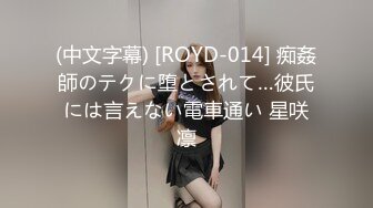 (中文字幕) [ROYD-014] 痴姦師のテクに堕とされて…彼氏には言えない電車通い 星咲凛