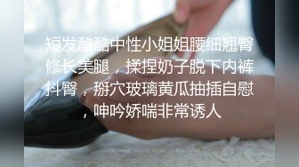 3P玩出新境界 爆操淫荡蜜臀3P鱼网袜女神 前后撞击猛烈抽插 挑逗G点疯狂高潮 疯狂爆操1小时 高清完整版