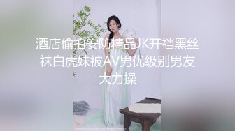 -神仙姐姐给你打手枪