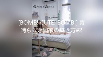 [BOMB! CUTE! BOMB!] 素晴らしき国家の築き方#2