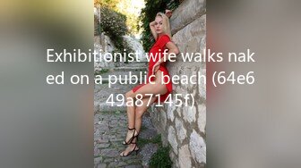 Exhibitionist wife walks naked on a public beach (64e649a87145f)