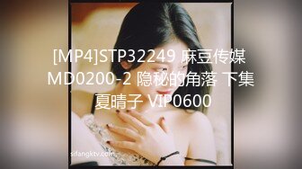 [MP4]STP32249 麻豆传媒 MD0200-2 隐秘的角落 下集 夏晴子 VIP0600