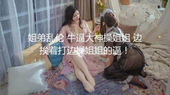 赵总探花系列-迷人的美少妇