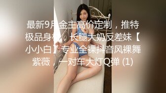 DX003 大象传媒 骚肉妹妹 在做爱或在做爱的路上 何安汝