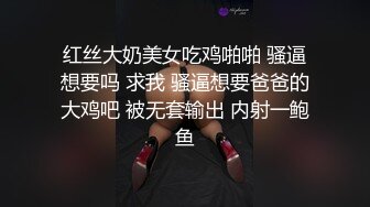 后入高颜值jk母狗