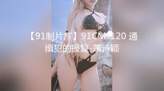 【91制片厂】91CM-120 通缉犯的报复-萧诗颖