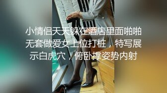 小情侣天天躲在酒店里面啪啪无套做爱女上位打桩，特写展示白虎穴，俯卧撑姿势内射