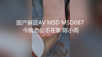 国产麻豆AV MSD MSD087 今晚老公不在家 陈小雨