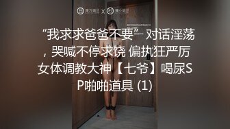 MOMO 在捷运车厢跟美女清洁工做爱 SA国际传媒