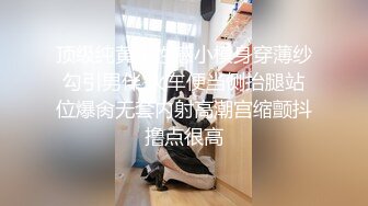 顶级纯黄！性感小模身穿薄纱勾引男伴 火车便当侧抬腿站位爆肏无套内射高潮宫缩颤抖撸点很高