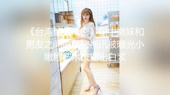 麻豆传媒 MSD112 巨乳按摩惹火上身