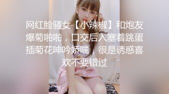 童颜巨乳小毒甜怀孕后复出 【43V】 (25)