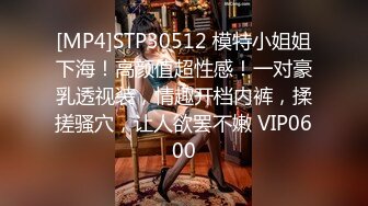 [MP4]STP30512 模特小姐姐下海！高颜值超性感！一对豪乳透视装，情趣开档内裤，揉搓骚穴，让人欲罢不嫩 VIP0600