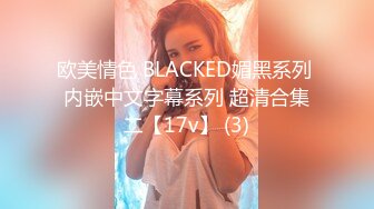 欧美情色 BLACKED媚黑系列 内嵌中文字幕系列 超清合集二【17v】 (3)