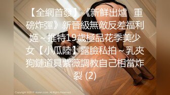 小母狗被我撕破丝袜后入