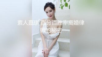 素人嘉琪 百分百胜率离婚律师的秘密