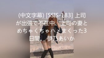 (中文字幕) [SSIS-183] 上司が出張で不在中、上司の妻とめちゃくちゃハメまくった3日間。 夢乃あいか