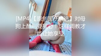 车震 女上