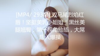 [MP4/ 293M] 双马尾烈焰红唇！坚挺美乳小姐姐！黑丝美腿翘臀，第一视角抽插，大屌后入爆操