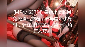 【酒店偷拍❤️甄选】未流出经典虎台❤️长腿黑丝骚货女秘书