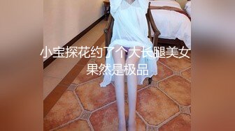 小宝探花约了个大长腿美女 果然是极品