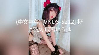 (中文字幕) [VNDS-5212] 極上熟女 成宮いろは