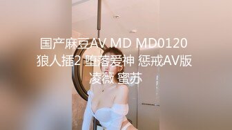 国产麻豆AV MD MD0120 狼人插2 堕落爱神 惩戒AV版 凌薇 蜜苏