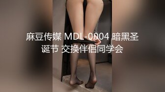 麻豆传媒 MDL-0004 暗黑圣诞节 交换伴侣同学会