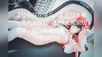 【神秘探花李八八】极品车模，美乳大长腿，粉嫩大胸黑丝诱惑，骚货这眼神看一眼就让你硬邦邦