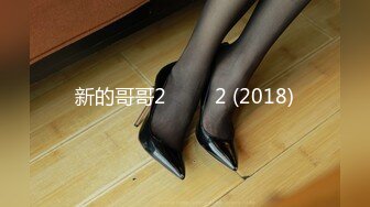 新的哥哥2 새오빠2 (2018)