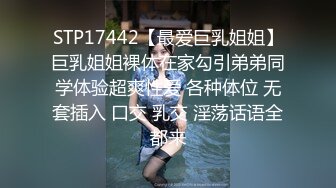 STP17442【最爱巨乳姐姐】巨乳姐姐裸体在家勾引弟弟同学体验超爽性爱 各种体位 无套插入 口交 乳交 淫荡话语全都来