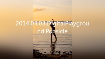 2014.03.03.DigitalPlayground.Popsicle