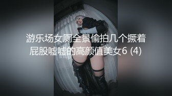 游乐场女厕全景偷拍几个撅着屁股嘘嘘的高颜值美女6 (4)