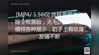 [MP4/ 1.56G] 丝袜高跟大长腿全程露脸，无毛白虎逼极品模特各种展示，奶子上有纹身发骚不断