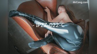 - IPZZ-022-C