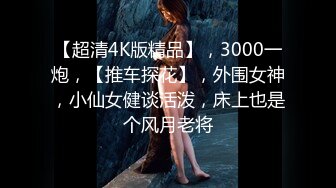 【超清4K版精品】，3000一炮，【推车探花】，外围女神，小仙女健谈活泼，床上也是个风月老将