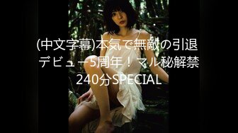 (中文字幕)本気で無敵の引退 デビュー5周年！マル秘解禁240分SPECIAL